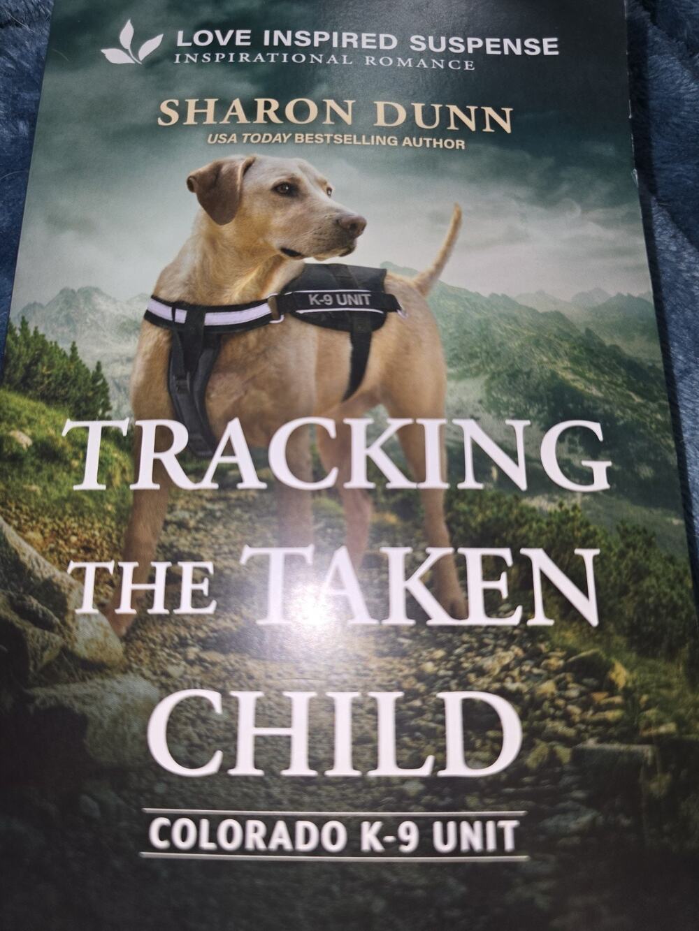 Tracking the Taken Child by Sharon Dunn (2026, Mass Market)